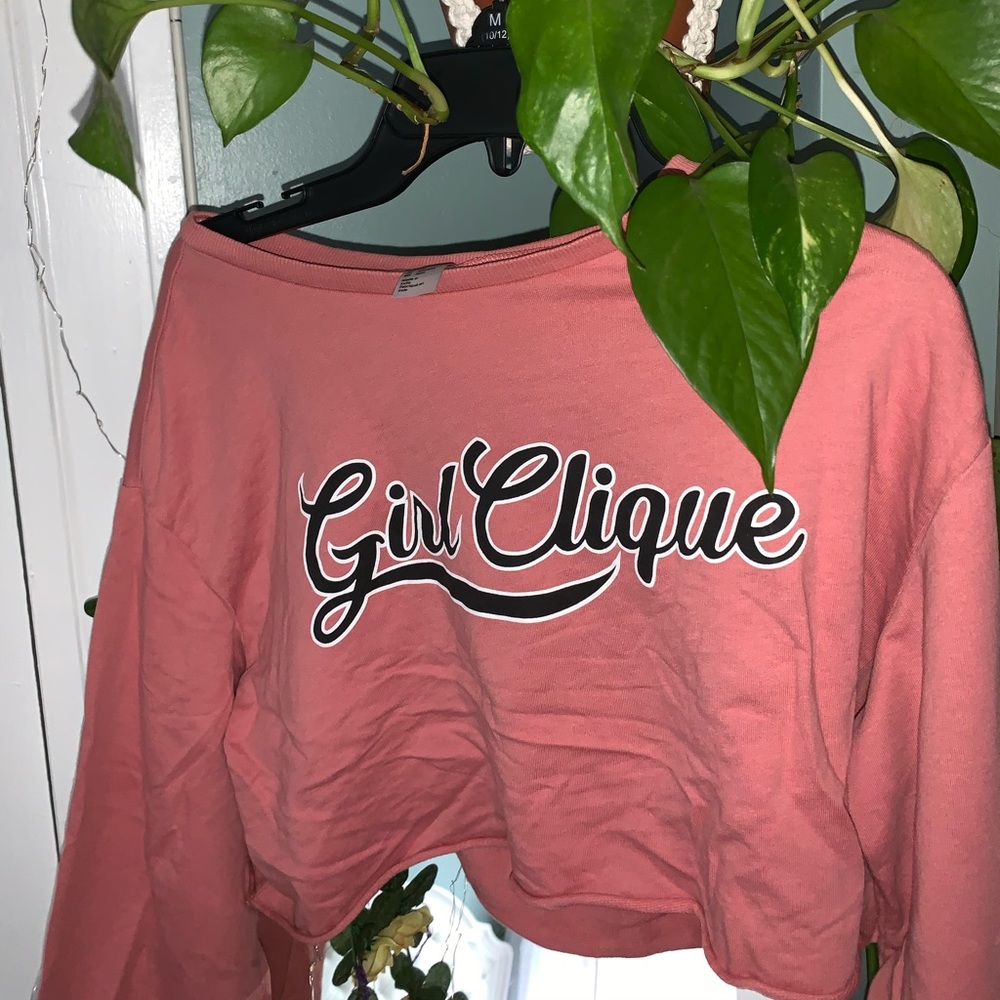 Longsleeve Pink Crop top